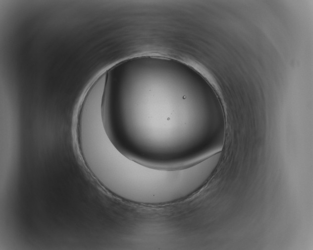 X0000101991104200808011056