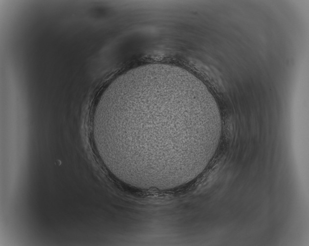 X0000101991105200808011055