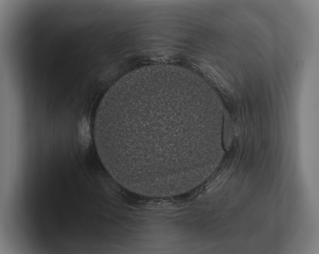 X0000101991106200808011055