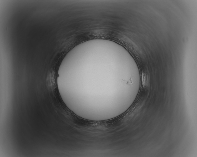 X0000101991107200808011055