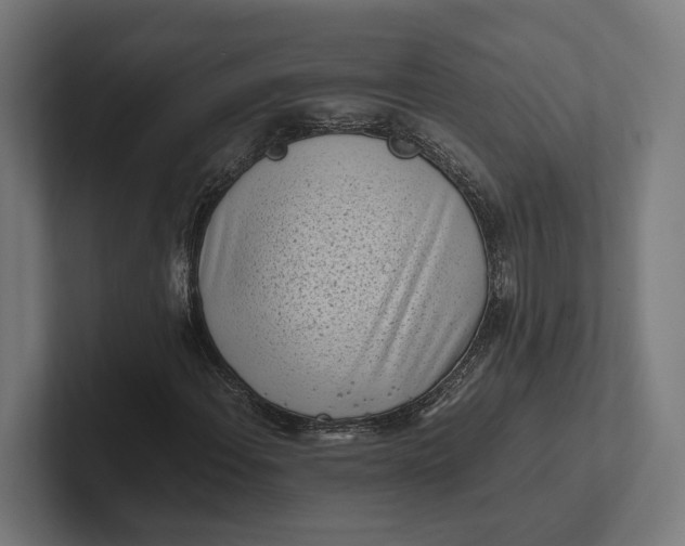 X0000101991108200808011055