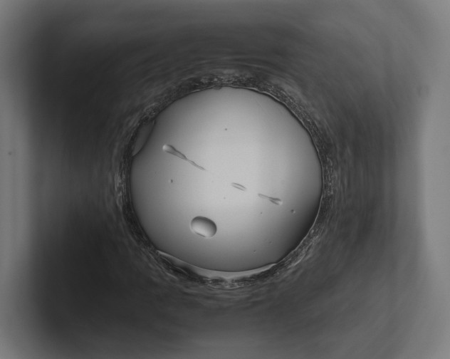 X0000101991109200808011055