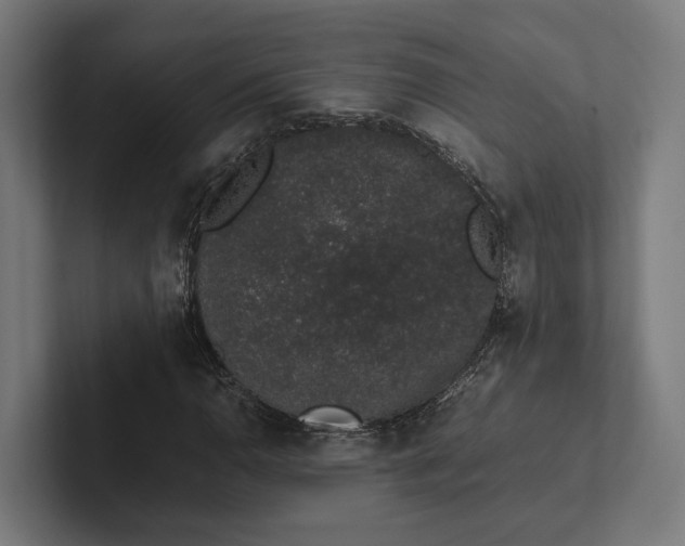 X0000101991110200808011055