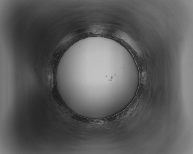 X0000101991111200808011055