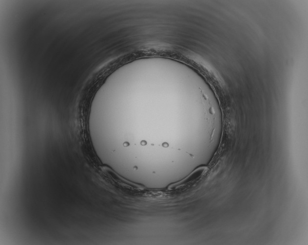 X0000101991112200808011055