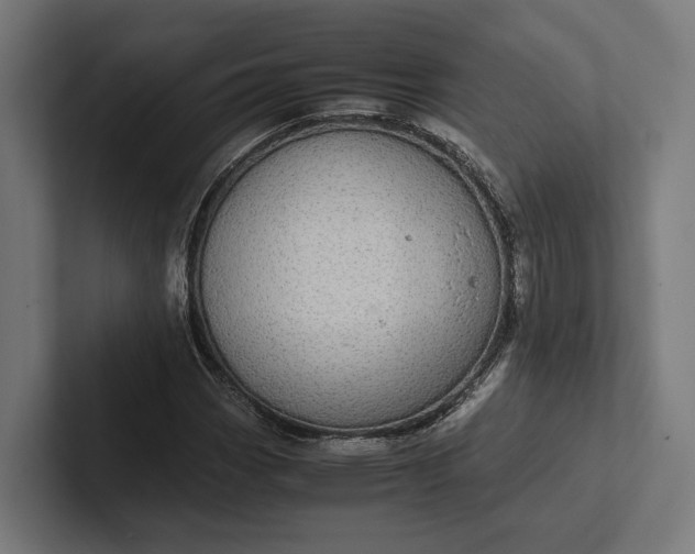 X0000101991113200808011055