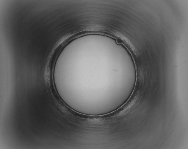 X0000101991114200808011055