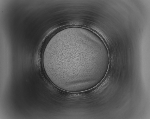 X0000101991115200808011055