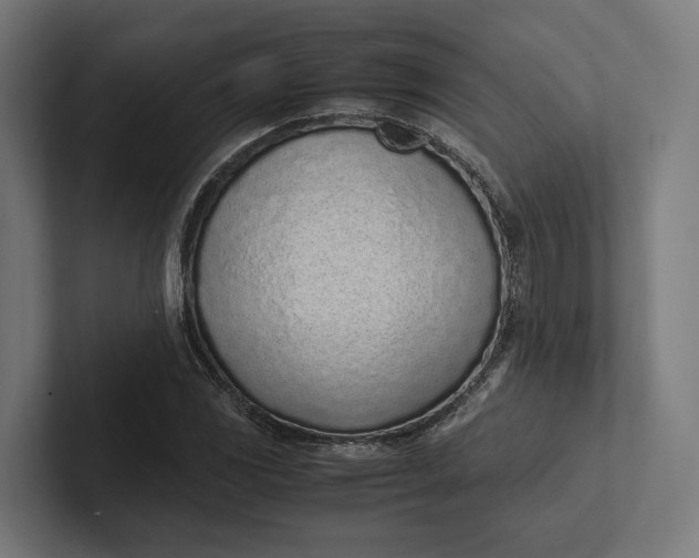 X0000101991117200808011055