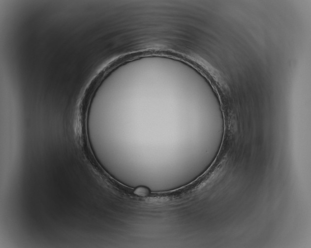 X0000101991118200808011055