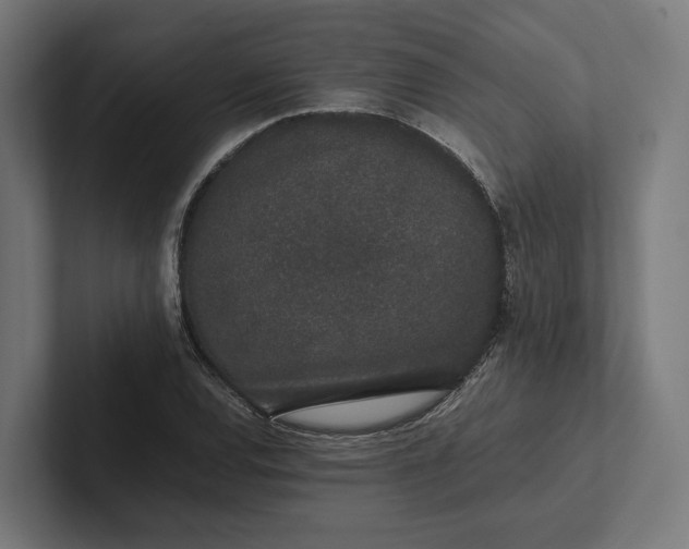 X0000101991120200808011055