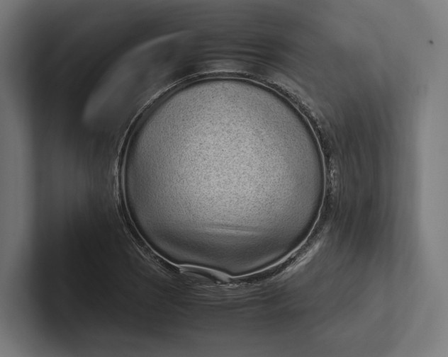 X0000101991121200808011055