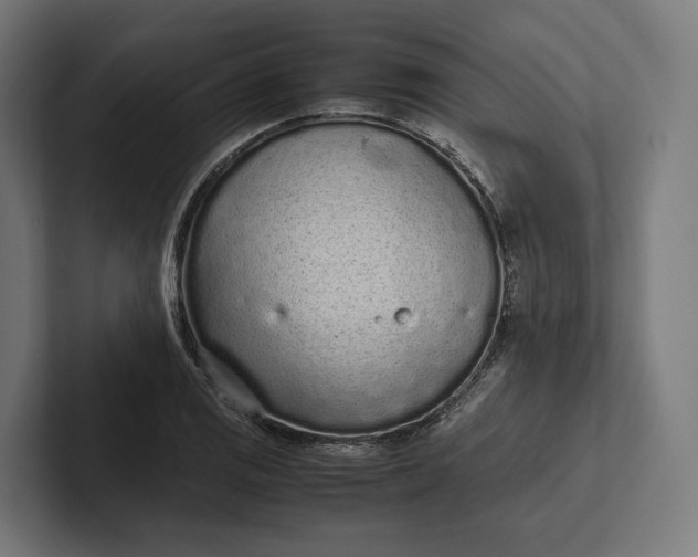 X0000101991125200808011056