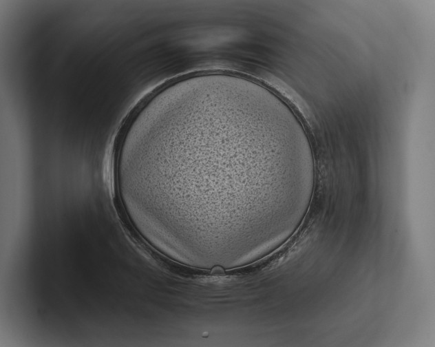 X0000101991127200808011056