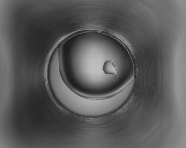 X0000101991128200808011056