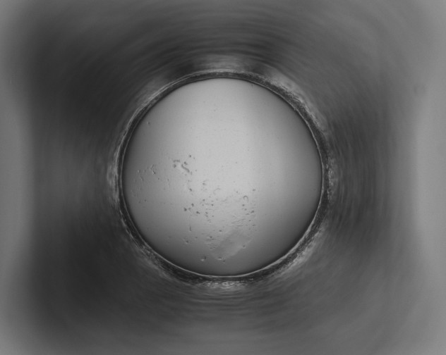 X0000101991129200808011056