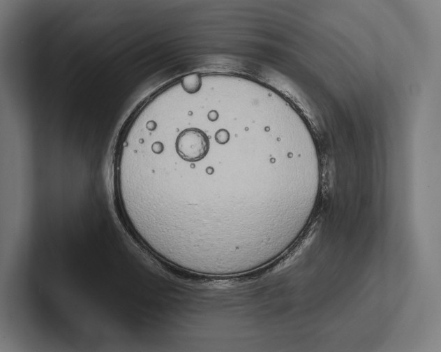 X0000101991130200808011056