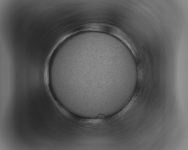 X0000101991131200808011056