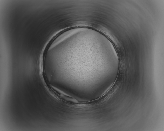 X0000101991132200808011056