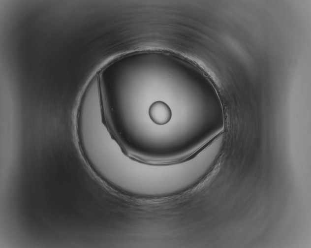 X0000101991134200808011056