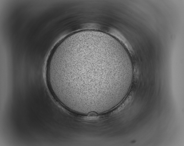 X0000101991135200808011056