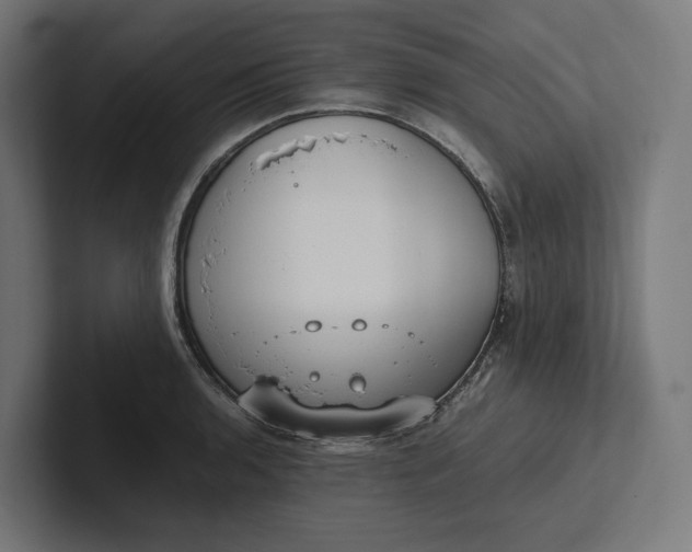 X0000101991136200808011056