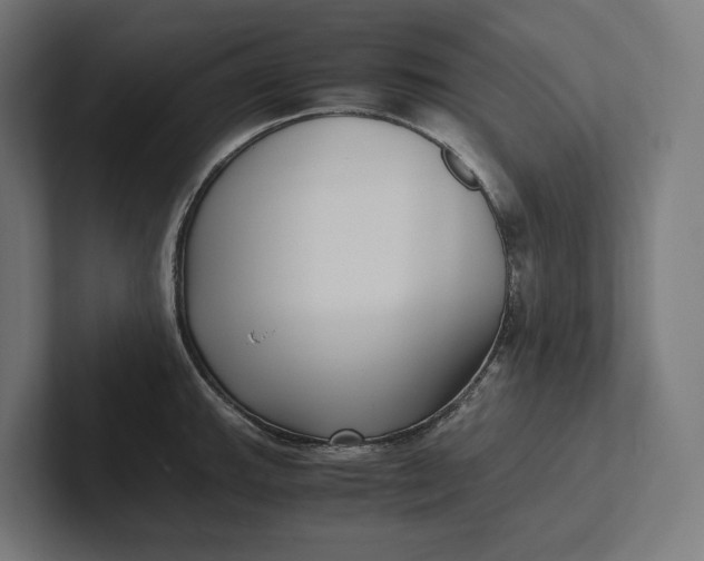 X0000101991143200808011056