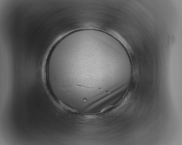 X0000101991144200808011056