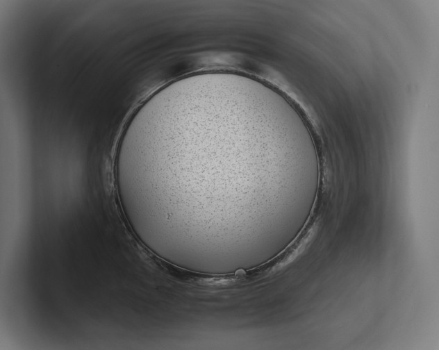 X0000101991145200808011056