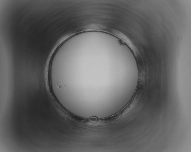 X0000101991146200808011056