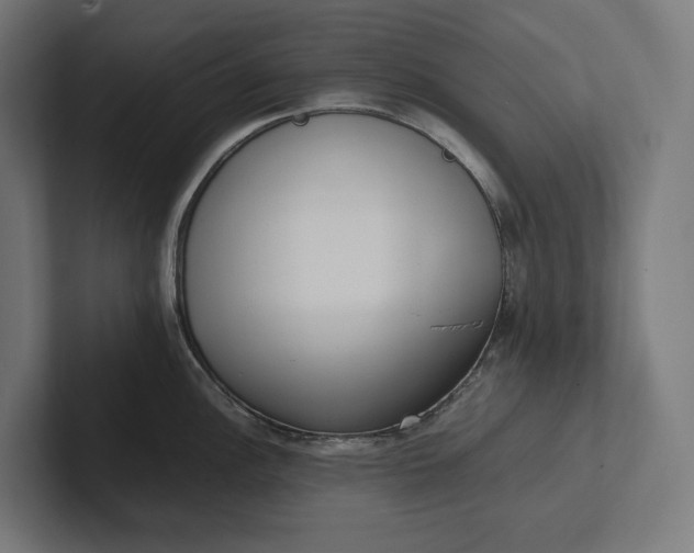 X0000101991148200808011056