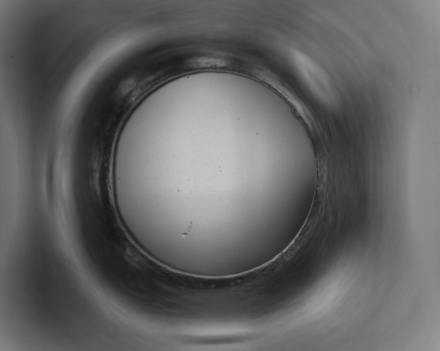 X0000101991151200808011056