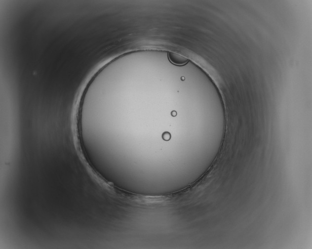 X0000101991152200808011056