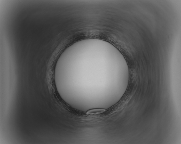 X0000101991153200808011055