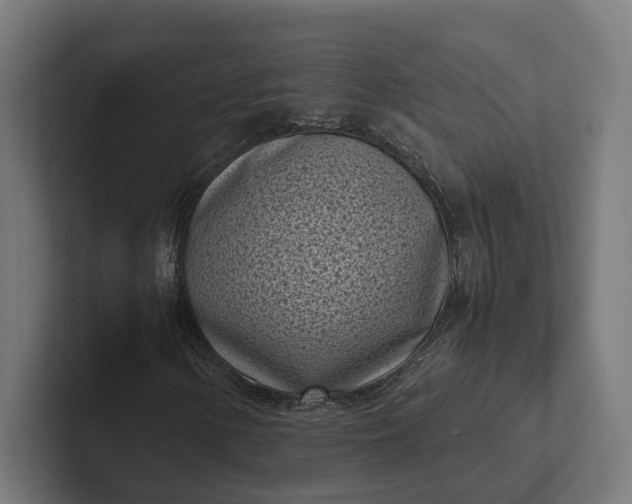 X0000101991154200808011055