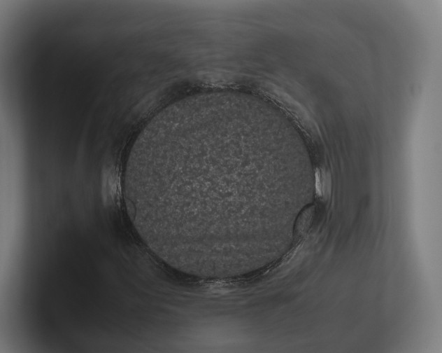 X0000101991155200808011055