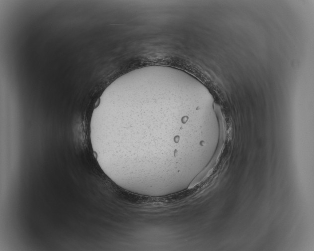 X0000101991156200808011055