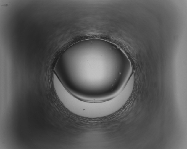 X0000101991157200808011055