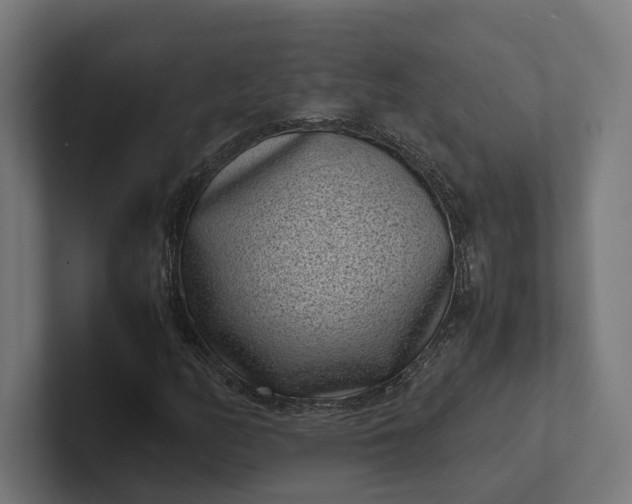 X0000101991158200808011055