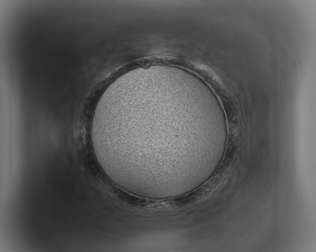 X0000101991159200808011055