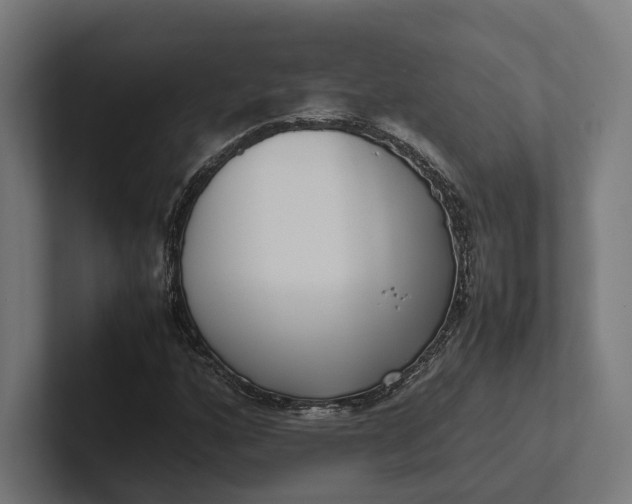 X0000101991160200808011055