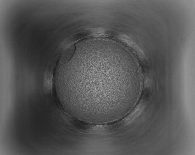 X0000101991161200808011055