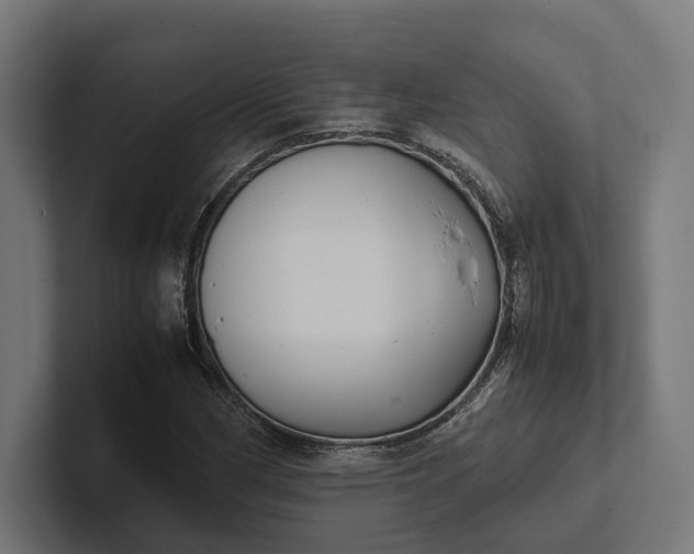 X0000101991162200808011055