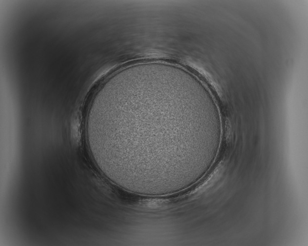 X0000101991163200808011055