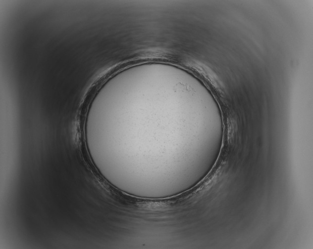 X0000101991164200808011055