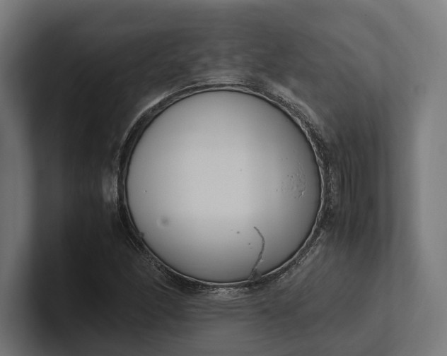 X0000101991166200808011055