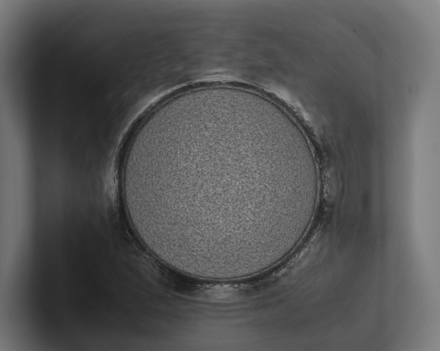 X0000101991167200808011055