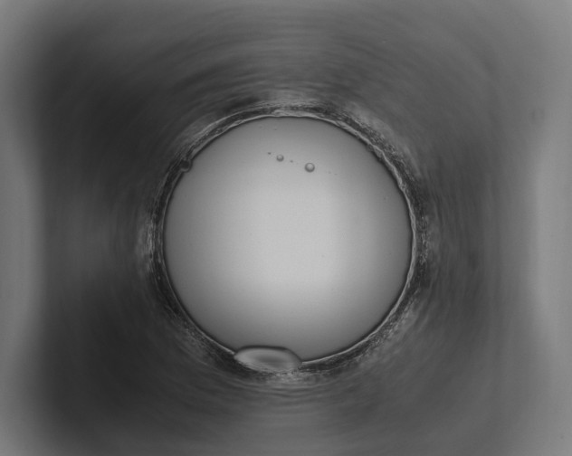 X0000101991169200808011055