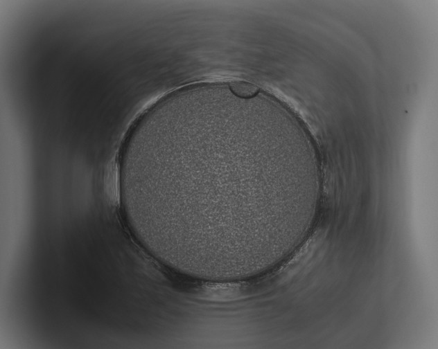 X0000101991171200808011055