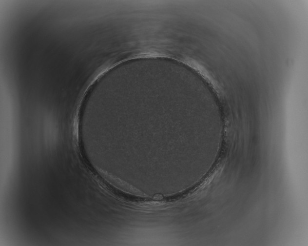 X0000101991173200808011055